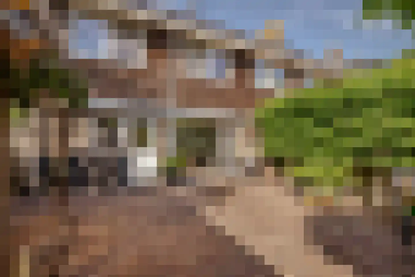 Kogge 7 Blaricum thumbnail 34