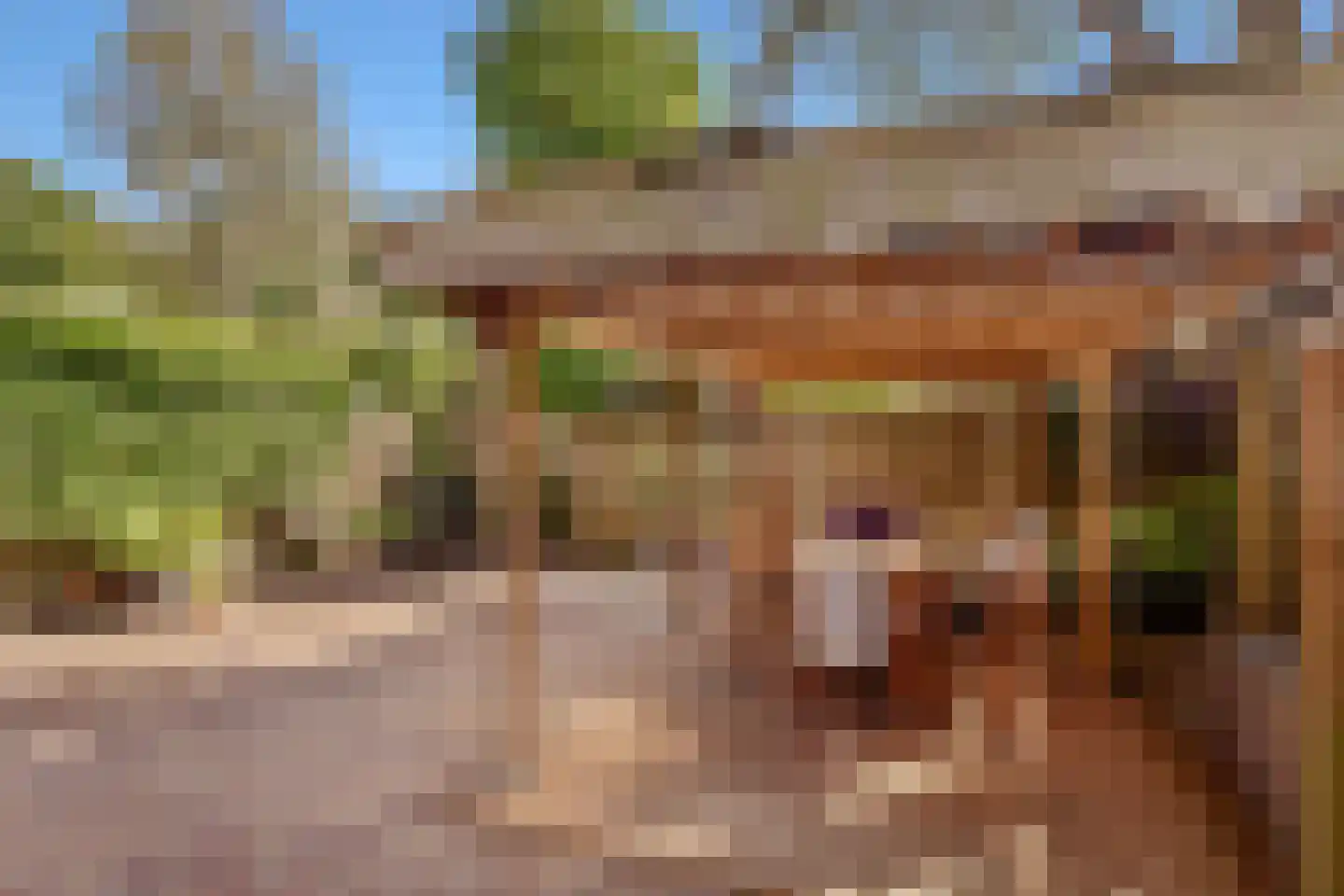 Kogge 7 Blaricum thumbnail 35