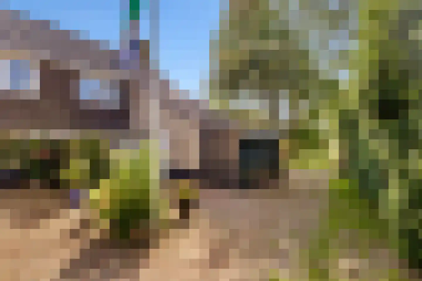Kogge 7 Blaricum thumbnail 39