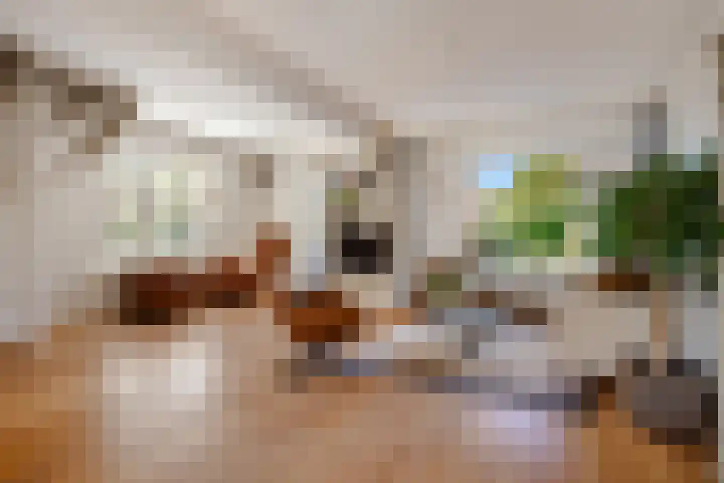 Kogge 7 Blaricum thumbnail 4