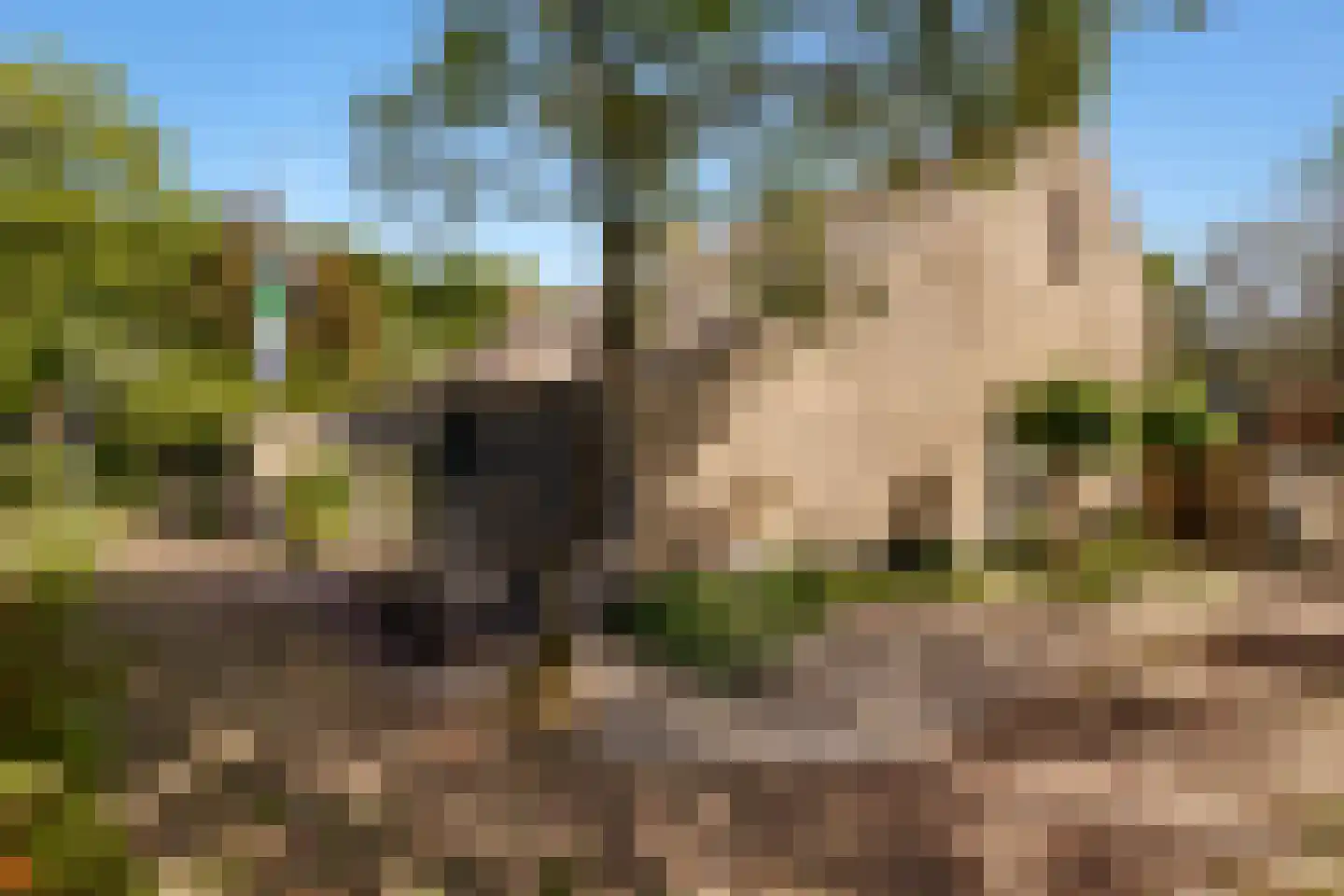 Kogge 7 Blaricum thumbnail 40