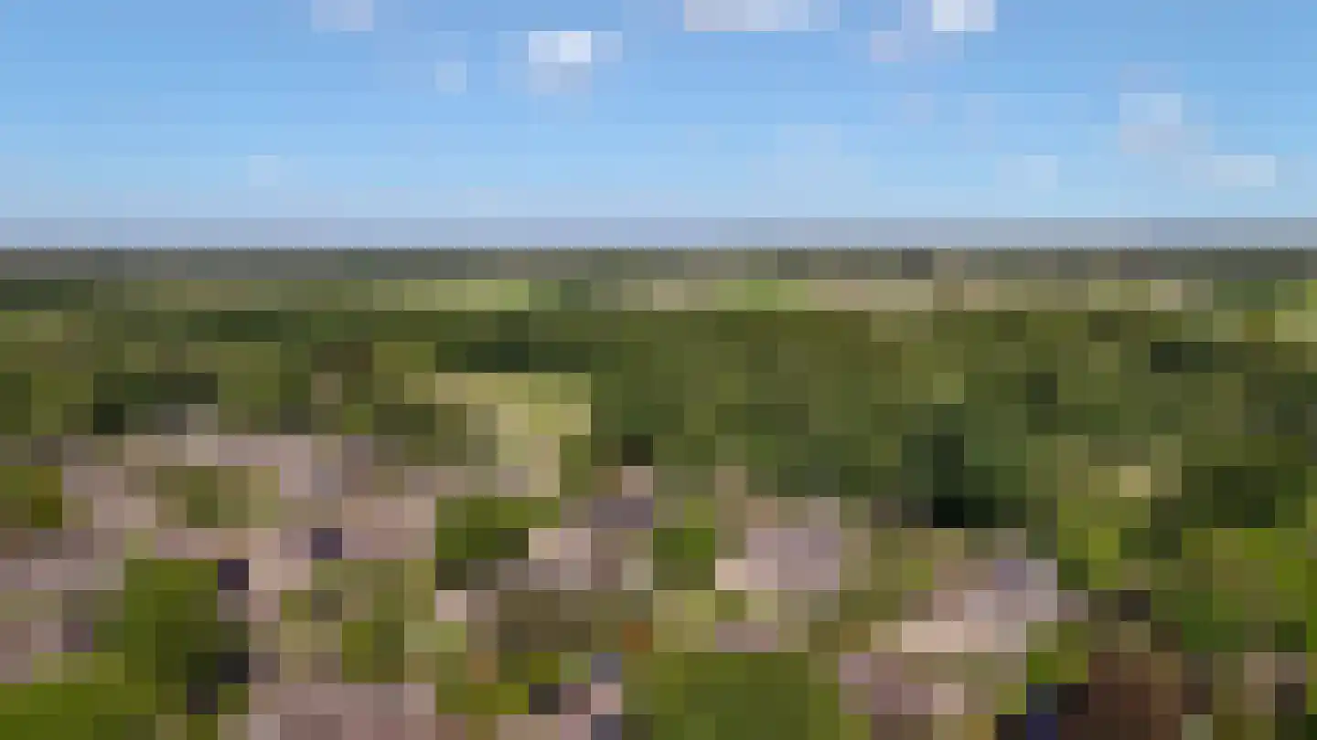 Kogge 7 Blaricum thumbnail 44