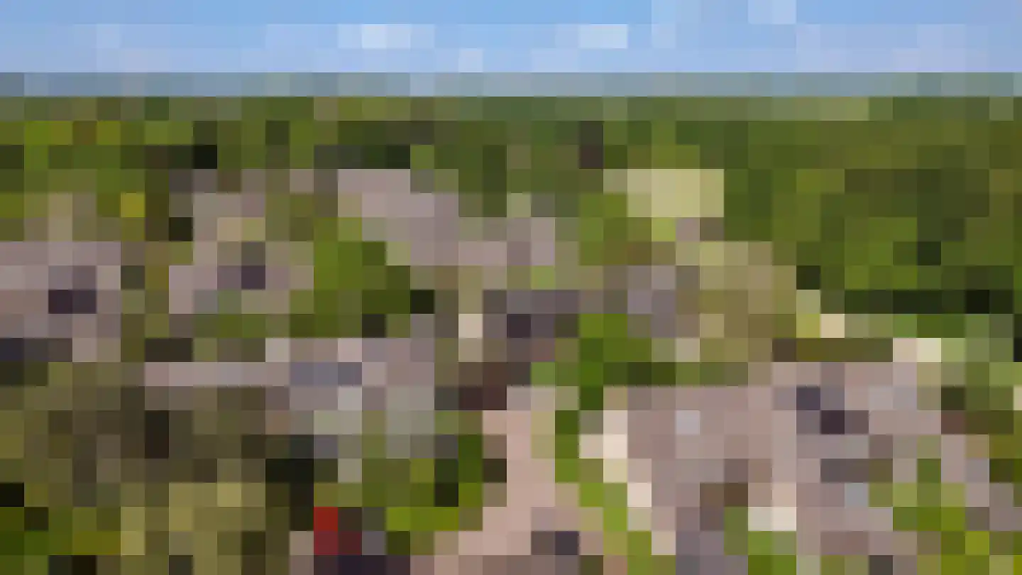 Kogge 7 Blaricum thumbnail 44