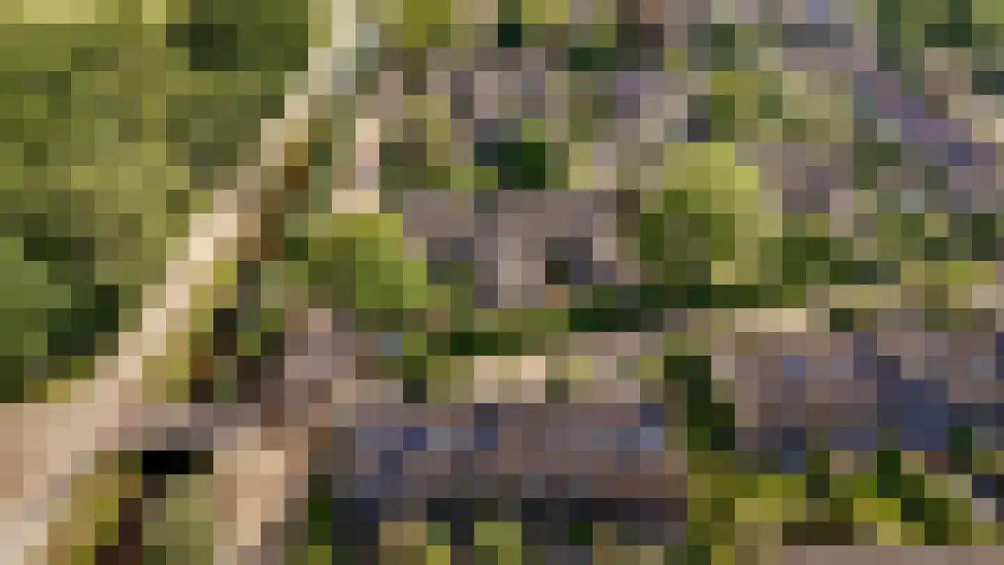 Kogge 7 Blaricum thumbnail 45