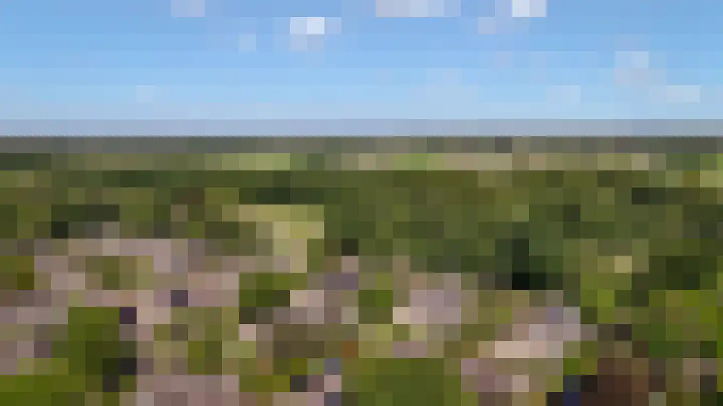 Kogge 7 Blaricum thumbnail 46