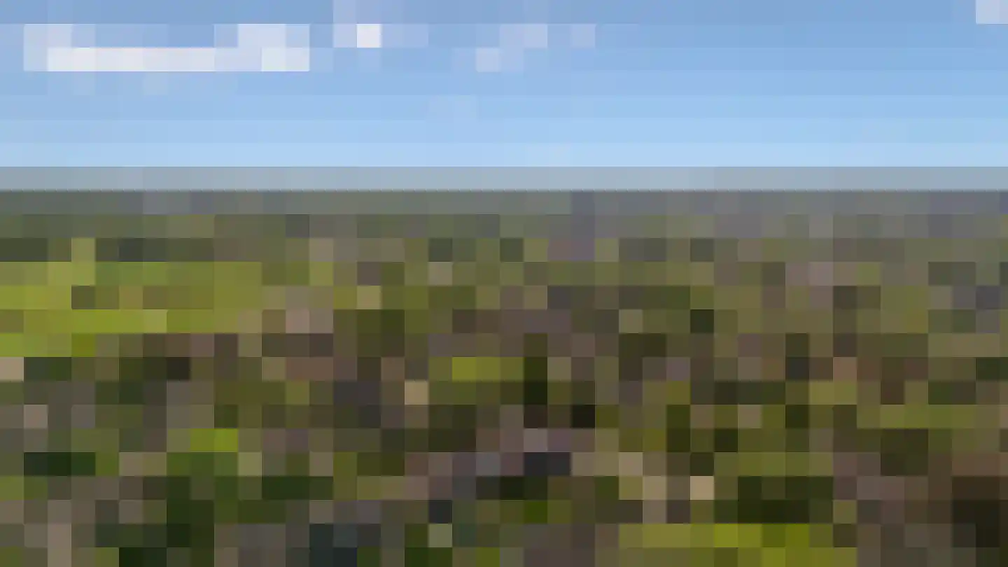 Kogge 7 Blaricum thumbnail 47