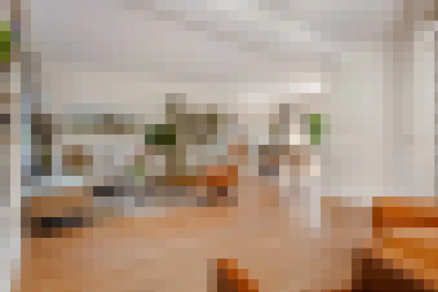 Kogge 7 Blaricum thumbnail 5