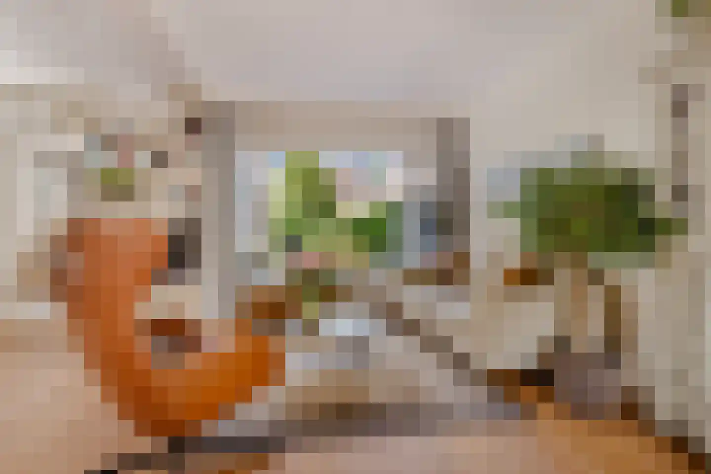 Kogge 7 Blaricum thumbnail 8