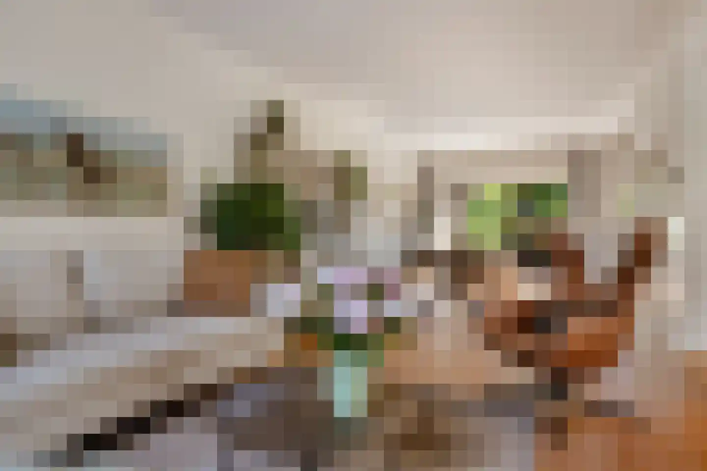 Kogge 7 Blaricum thumbnail 9