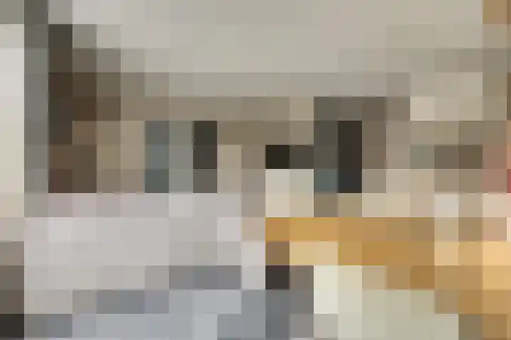 Kogge 9 Brielle thumbnail 12