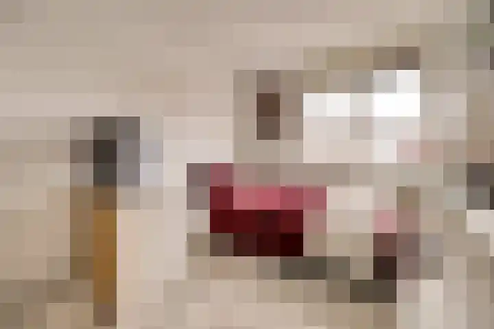 Kogge 9 Brielle thumbnail 16