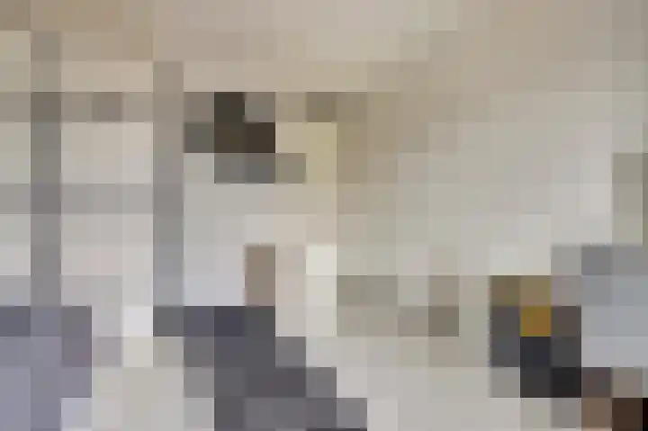 Kogge 9 Brielle thumbnail 18