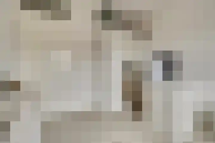 Kogge 9 Brielle thumbnail 24