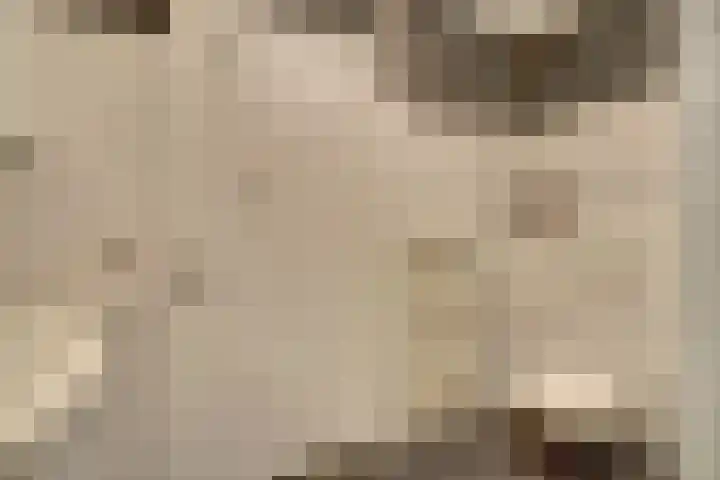 Kogge 9 Brielle thumbnail 26