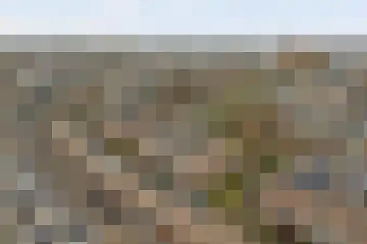 Kogge 9 Brielle thumbnail 30