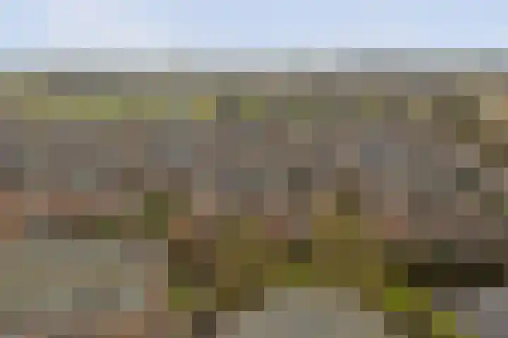 Kogge 9 Brielle thumbnail 31