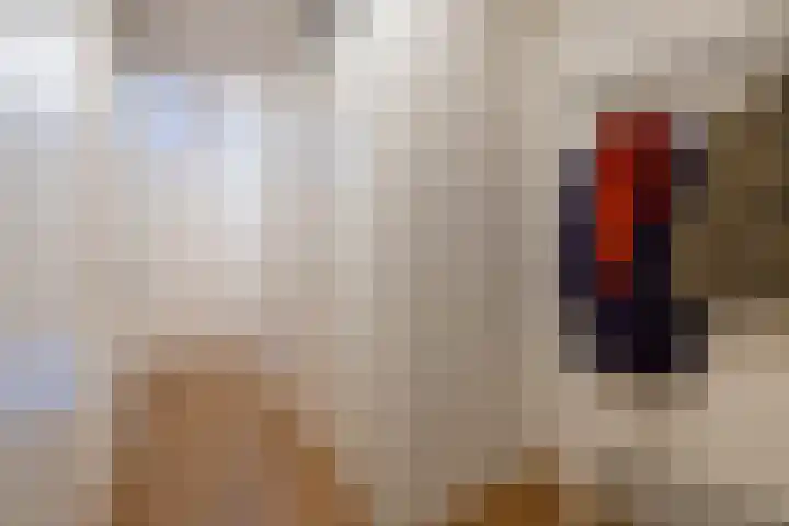 Koggehoorn 6 Oosthuizen thumbnail 10