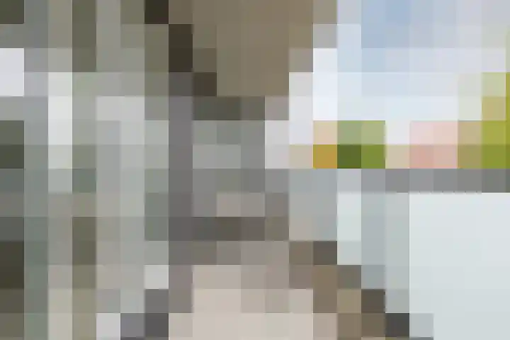 Koggehoorn 6 Oosthuizen thumbnail 23