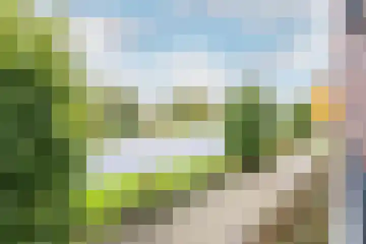 Koggehoorn 6 Oosthuizen thumbnail 25