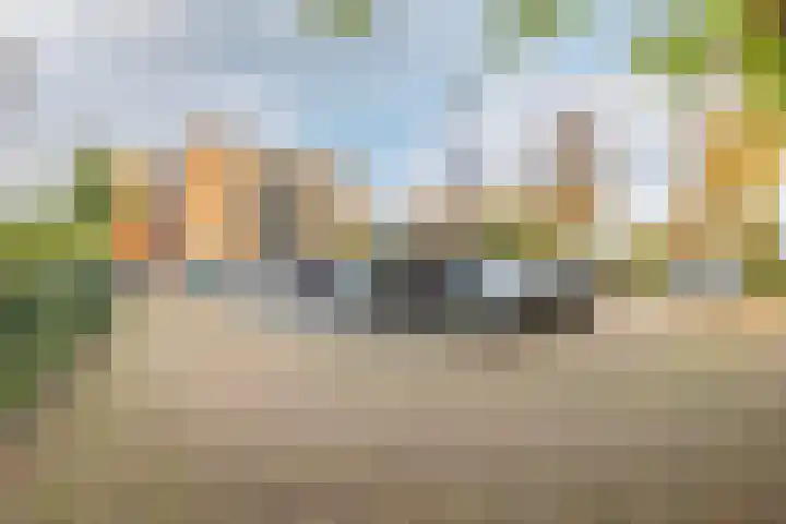 Koggehoorn 6 Oosthuizen thumbnail 38