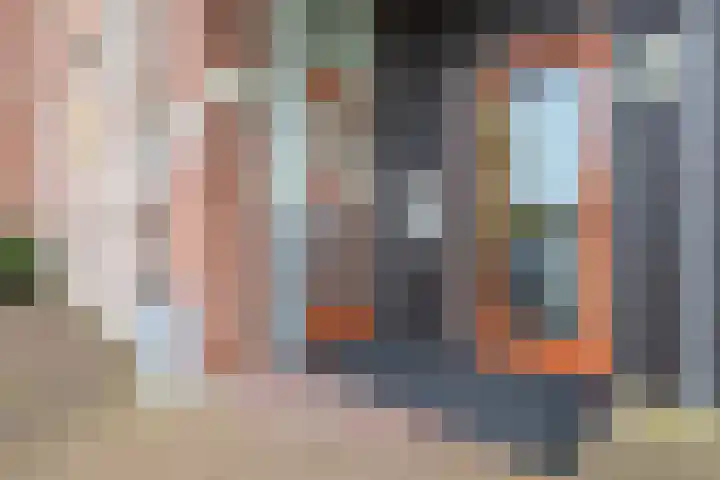 Koggehoorn 6 Oosthuizen thumbnail 6