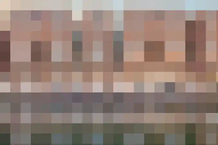 Koggekade 44 Zwolle thumbnail 4