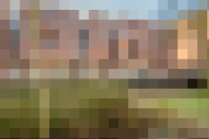 Koggekade 44 Zwolle thumbnail 43