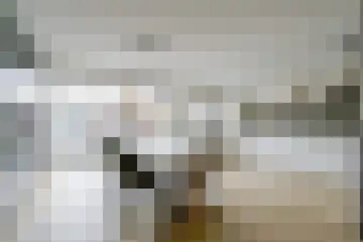 Koggelaan 25 Heerhugowaard thumbnail 5