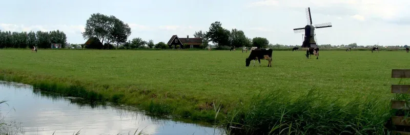 Kantoor foto van Koggen Makelaars