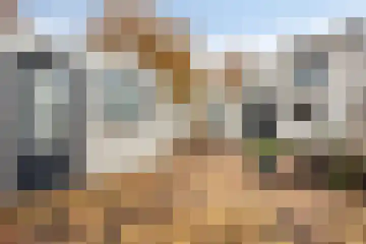 Koggenland 250 Purmerend thumbnail 30