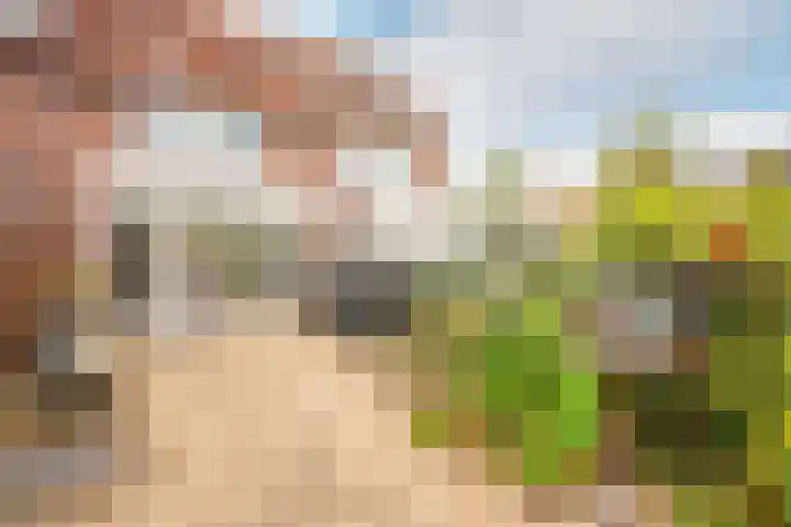 Koggenland 30 Purmerend thumbnail 36