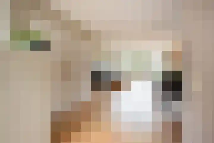 Koggenland 30 Purmerend thumbnail 9