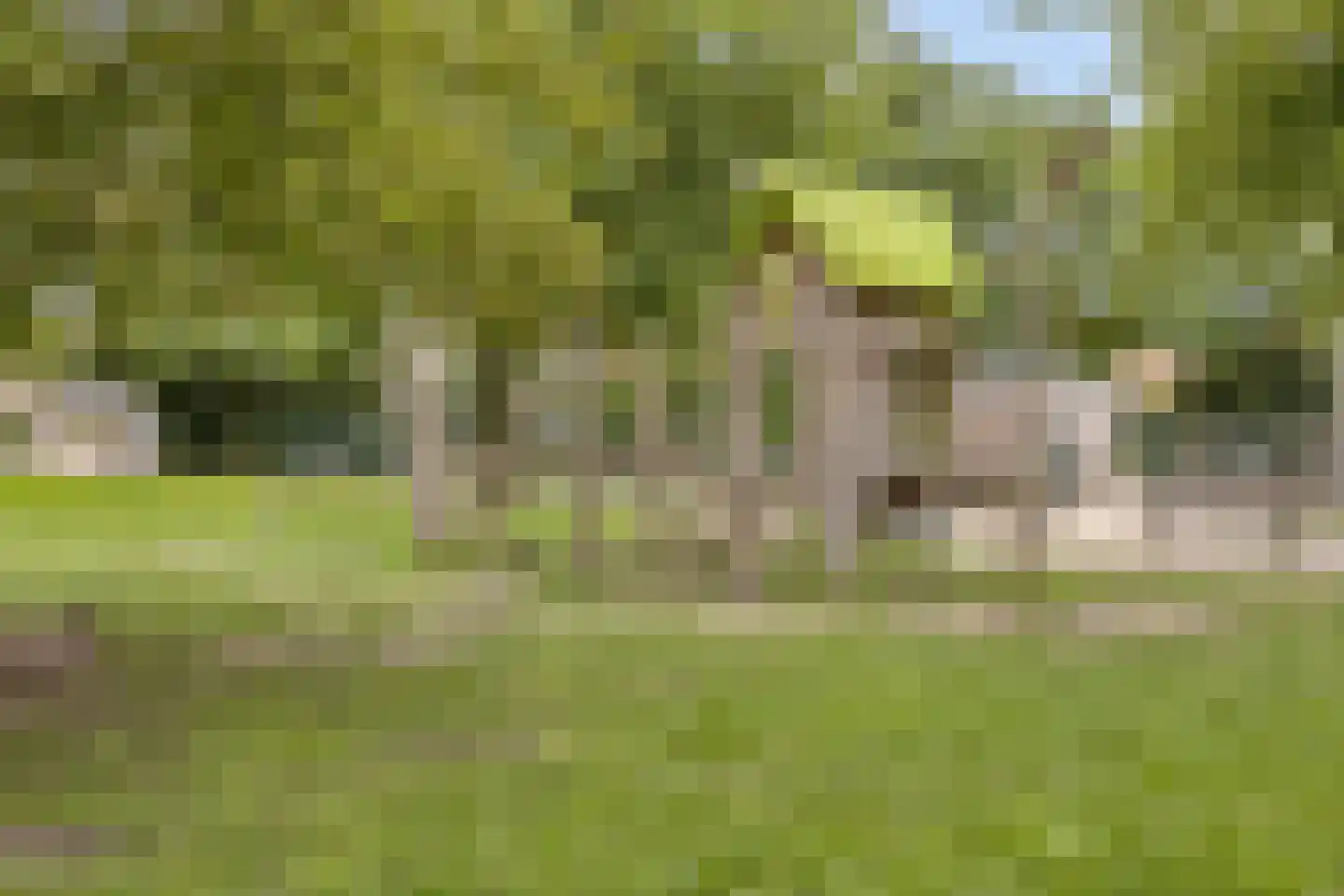 Koggenland 302 Purmerend thumbnail 30