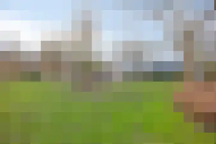 Koggenland 47 Purmerend thumbnail 32