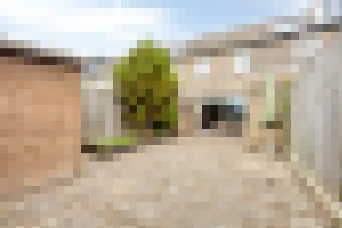Koggenland 9 Purmerend thumbnail 42