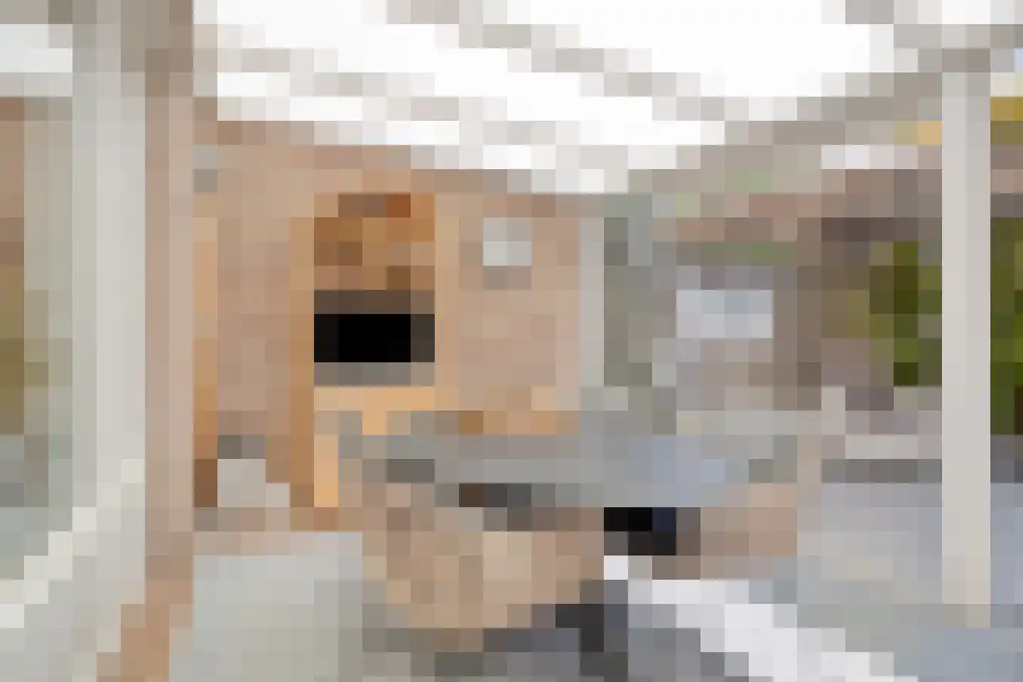 Koggeplein 6 Tilburg thumbnail 21