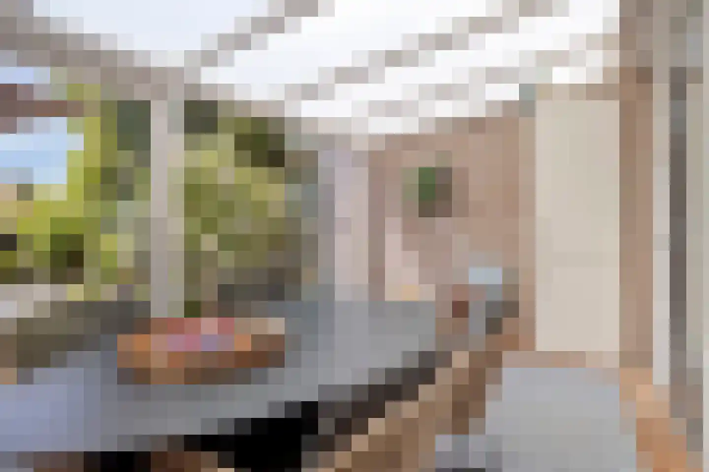 Koggeplein 6 Tilburg thumbnail 22