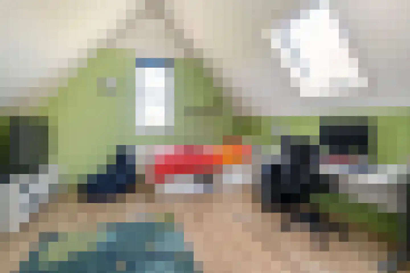 Koggerdaalder 12 Dronten thumbnail 23
