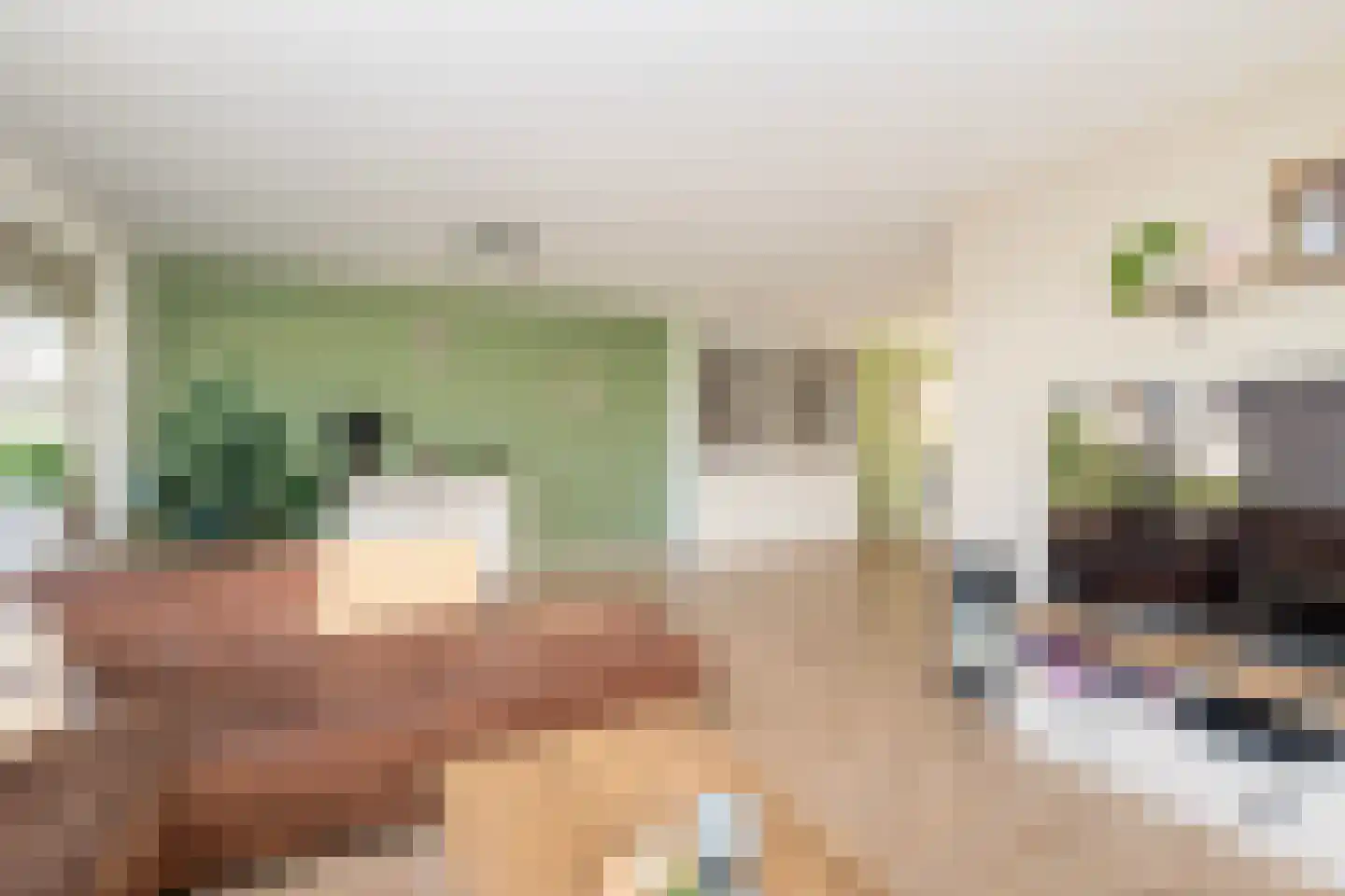 Koggerdaalder 12 Dronten thumbnail 9