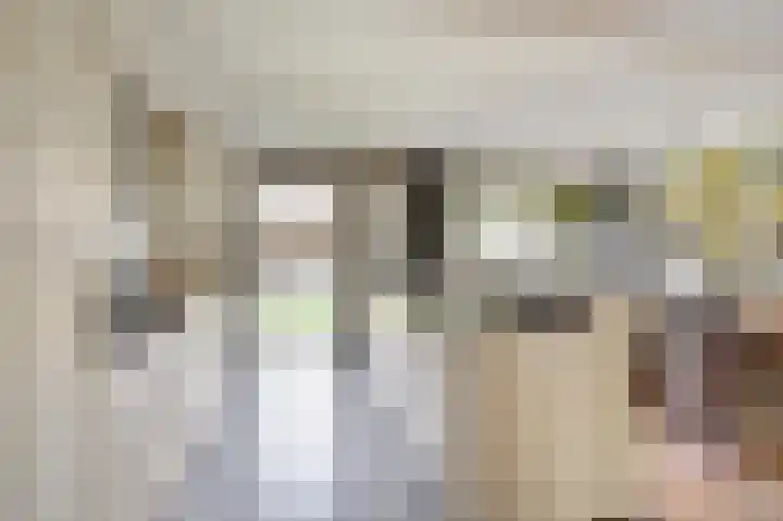 Koggerdaalder 34 Dronten thumbnail 12