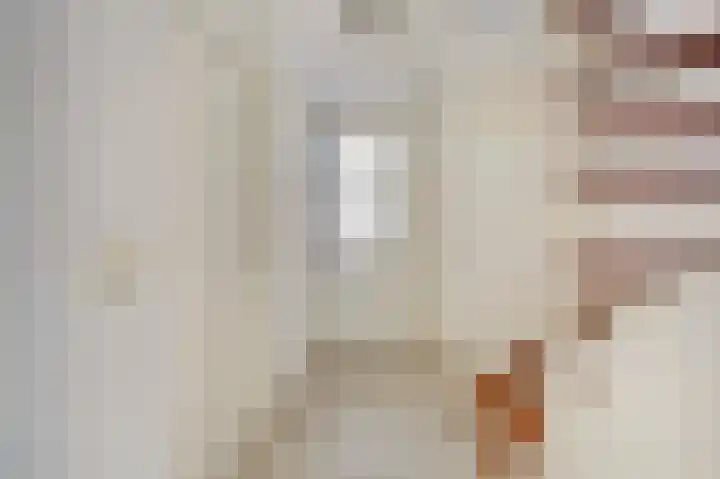 Koggerdaalder 34 Dronten thumbnail 16