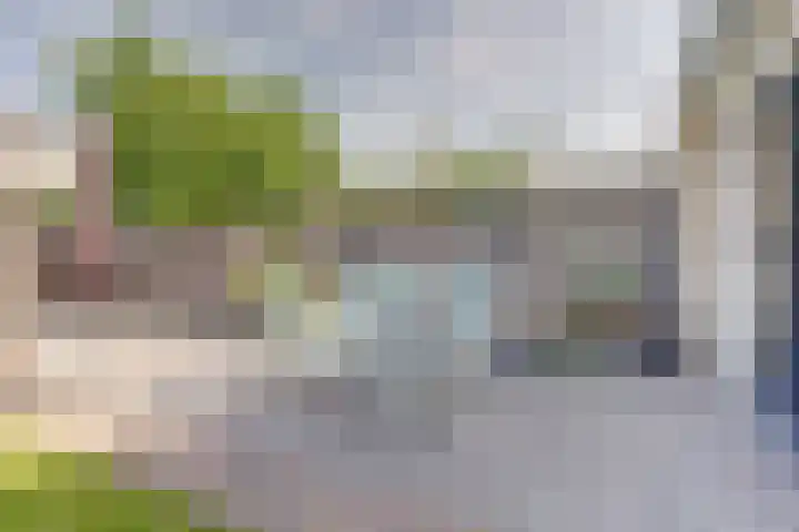 Koggerdaalder 34 Dronten thumbnail 30