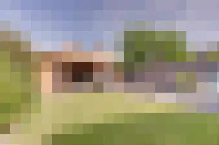 Koggerdaalder 34 Dronten thumbnail 32