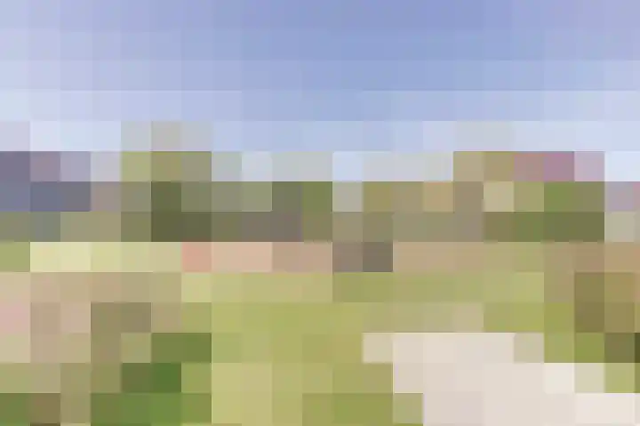 Koggerdaalder 34 Dronten thumbnail 34