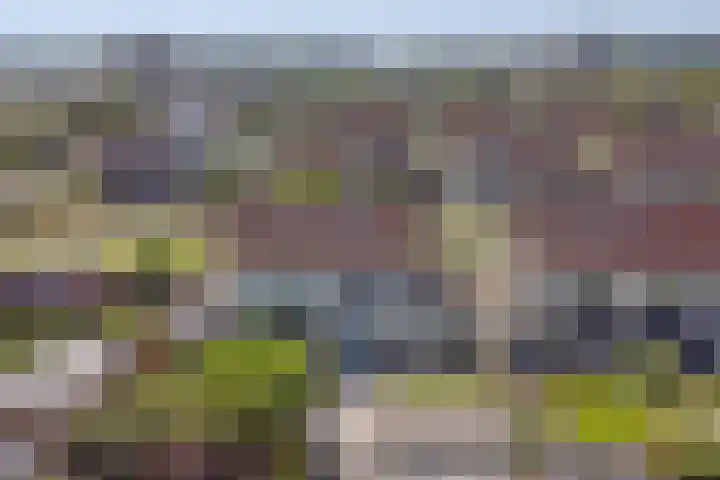 Koggerdaalder 34 Dronten thumbnail 37