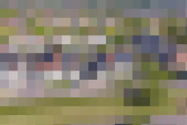 Koggerdaalder 34 Dronten thumbnail 38
