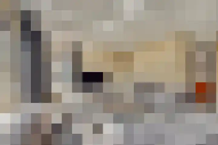 Koggerdaalder 34 Dronten thumbnail 4