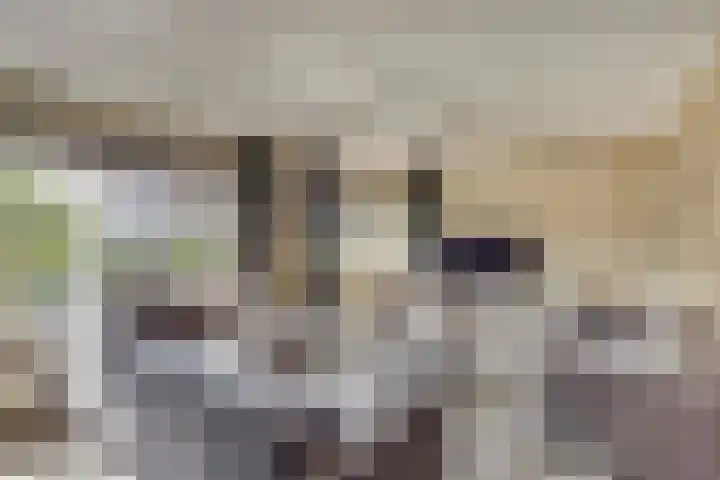 Koggerdaalder 34 Dronten thumbnail 5