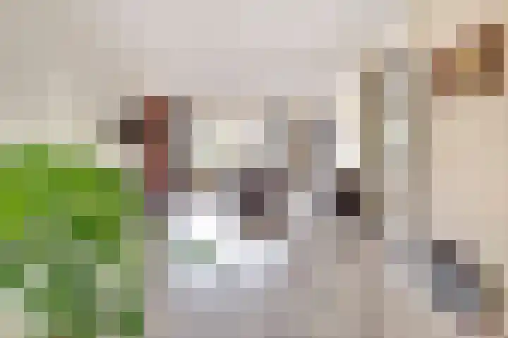 Koggerdaalder 34 Dronten thumbnail 8