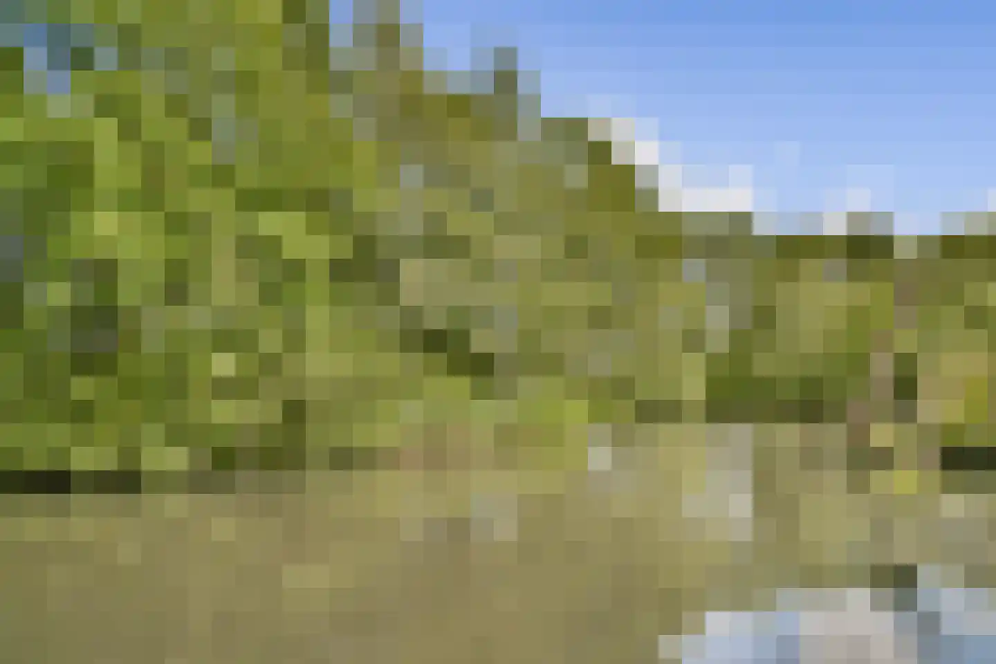 Koggeschip 28 Schiedam thumbnail 27